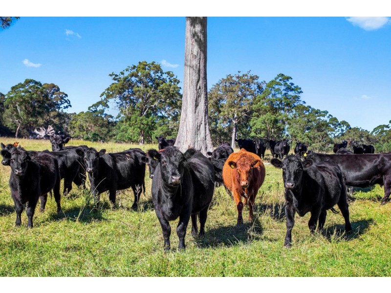 184 Princes Highway, Bodalla NSW 2545