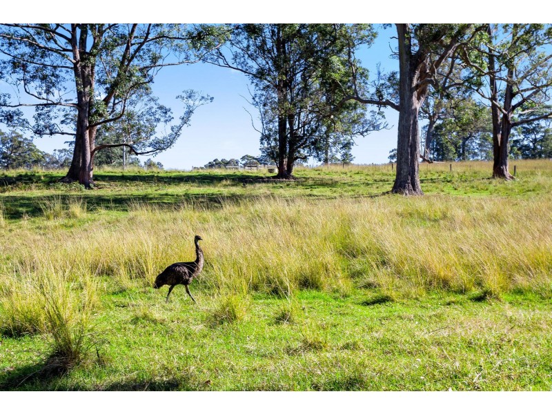 184 Princes Highway, Bodalla NSW 2545