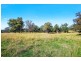 184 Princes Highway, Bodalla NSW 2545