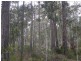 Lot 8 Bushland Road, Moruya NSW 2537