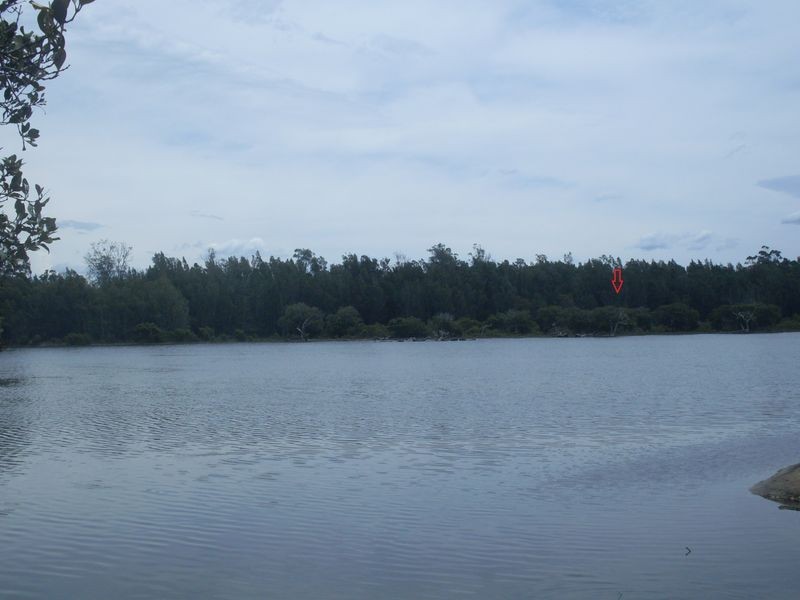 Lot 8 Bushland Road, Moruya NSW 2537
