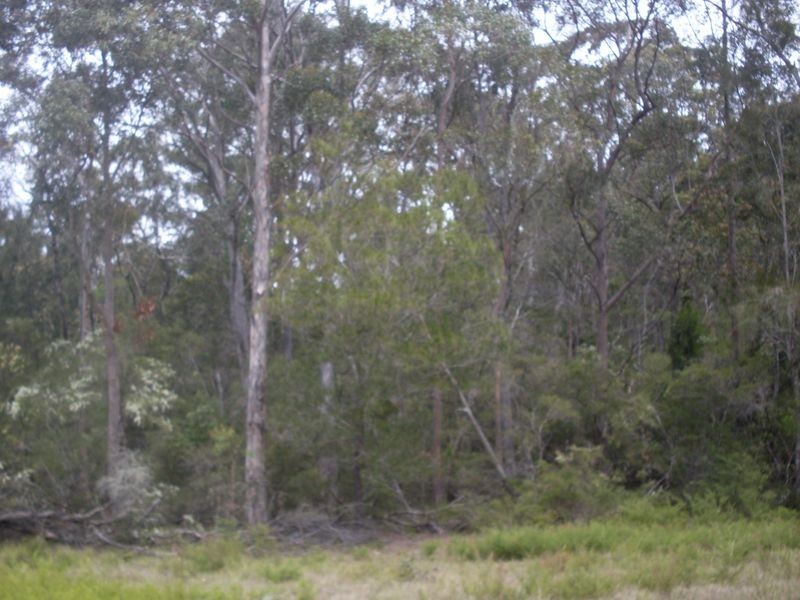 Lot 8 Bushland Road, Moruya NSW 2537