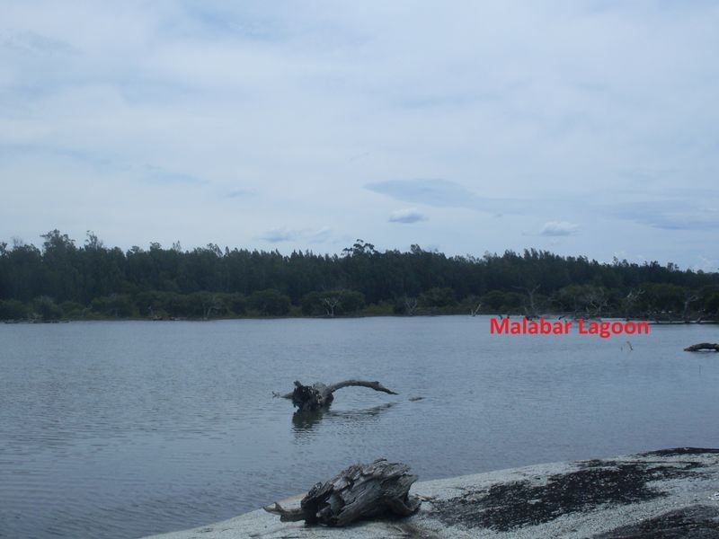 Lot 8 Bushland Road, Moruya NSW 2537