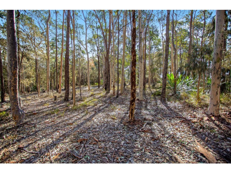 Lot 3 Phyllis Price Drive, Moruya NSW 2537