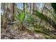 Lot 3 Phyllis Price Drive, Moruya NSW 2537