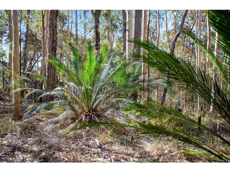 Lot 3 Phyllis Price Drive, Moruya NSW 2537