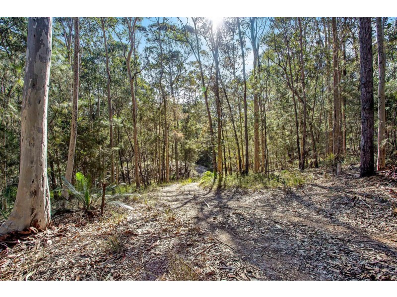 Lot 3 Phyllis Price Drive, Moruya NSW 2537