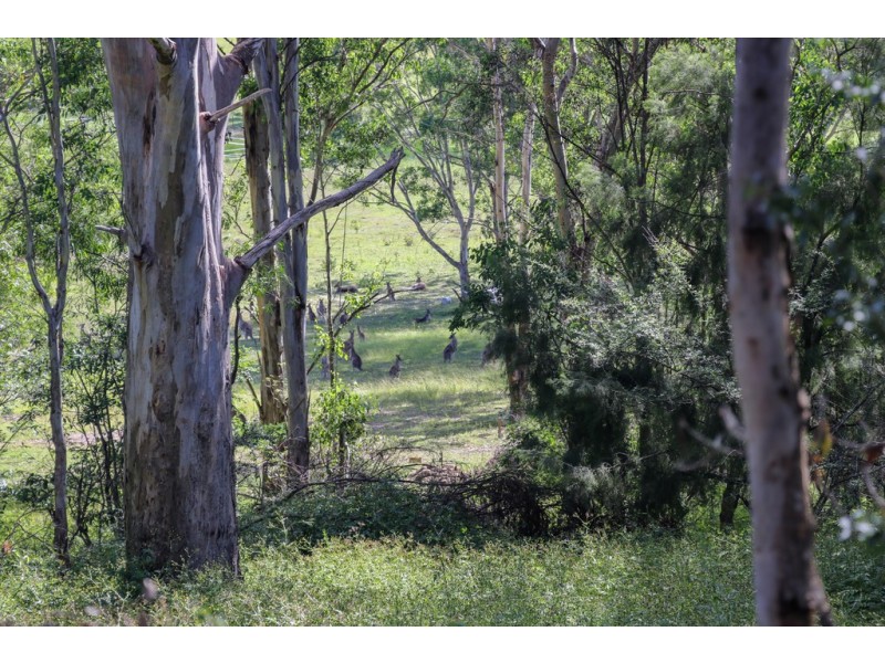 42 Albert Street, Moruya NSW 2537