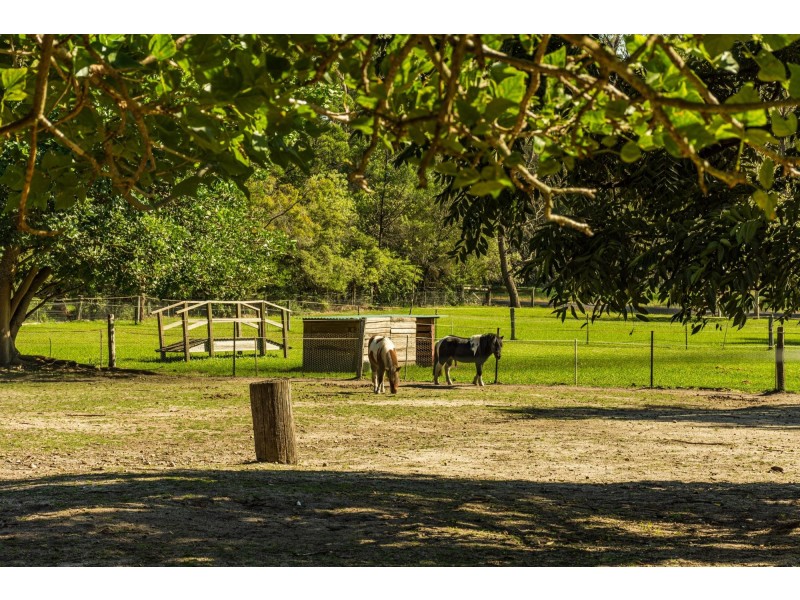 109 Bodalla Park Drive, Bodalla NSW 2545