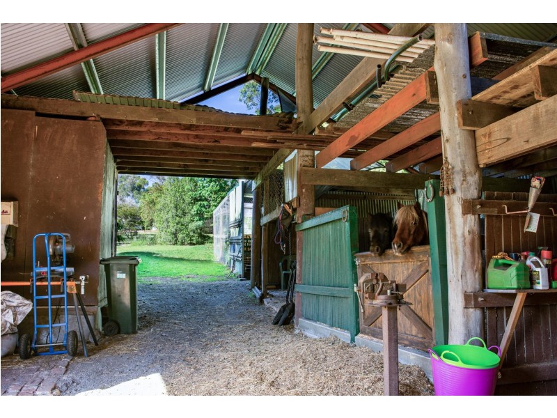 109 Bodalla Park Drive, Bodalla NSW 2545