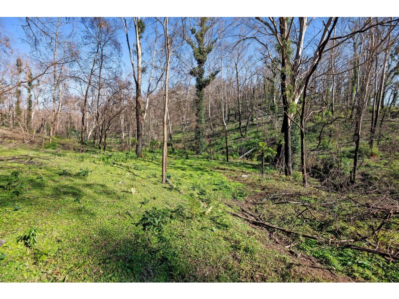 2250 Eurobodalla Road, Eurobodalla NSW 2545