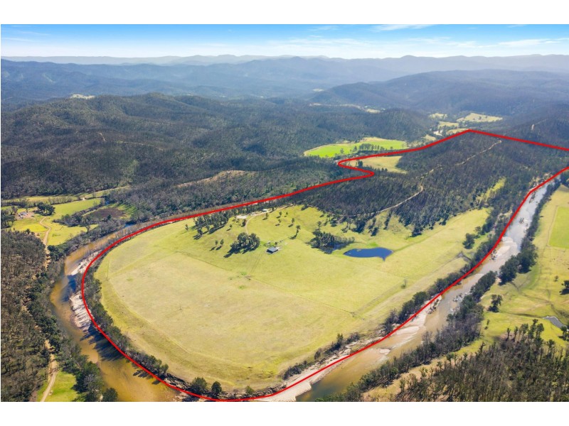 347 Nerrigundah Mountain Road, Bodalla NSW 2545