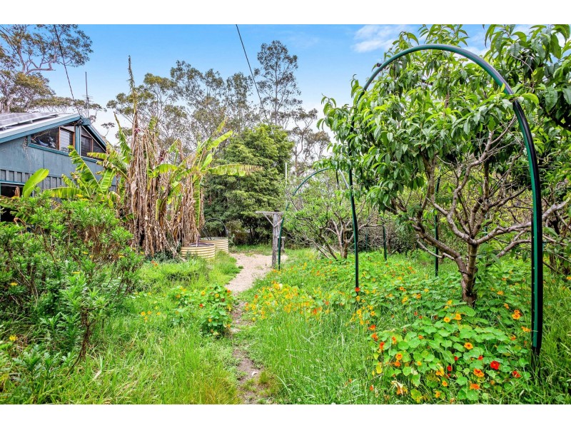 48 Janari Close, Moruya NSW 2537