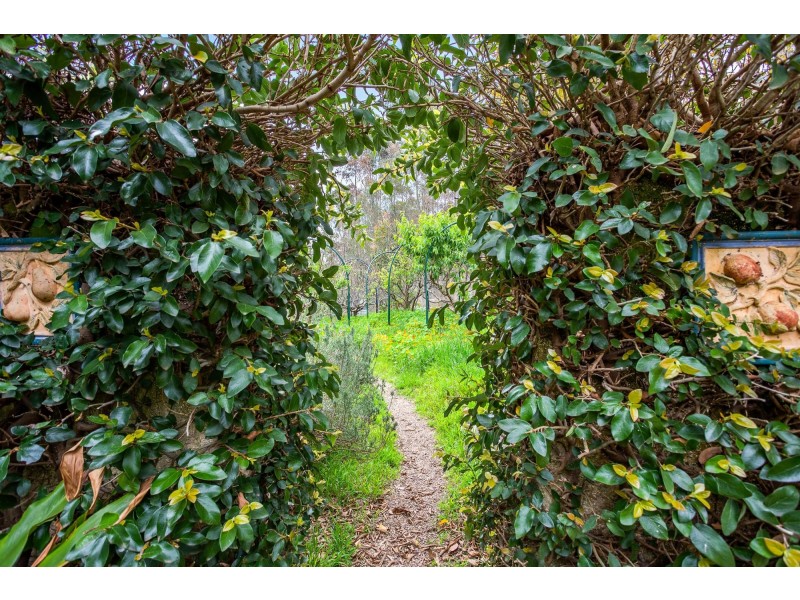 48 Janari Close, Moruya NSW 2537