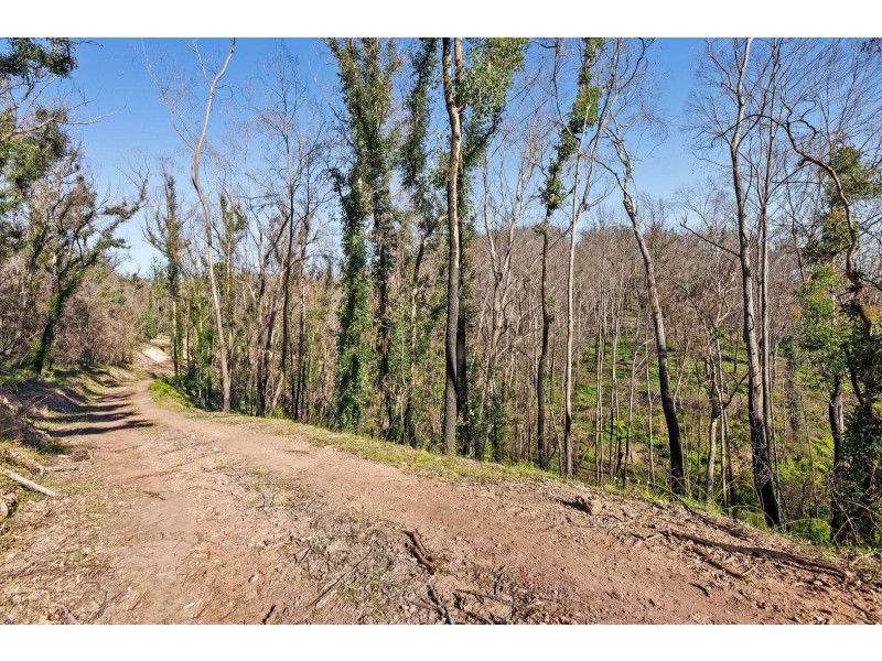 2250 Eurobodalla Road, Eurobodalla NSW 2545