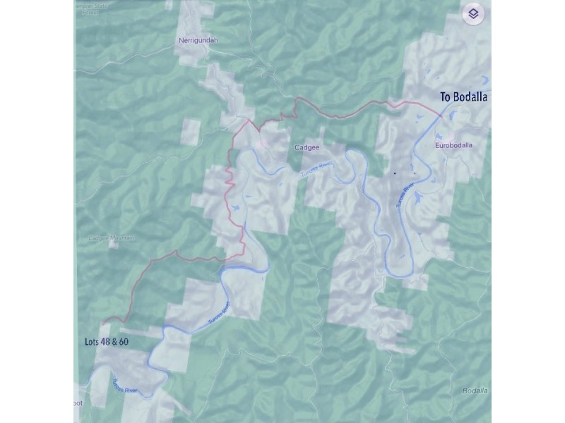 Lots 48 & Wattlegrove Road, Nerrigundah NSW 2545