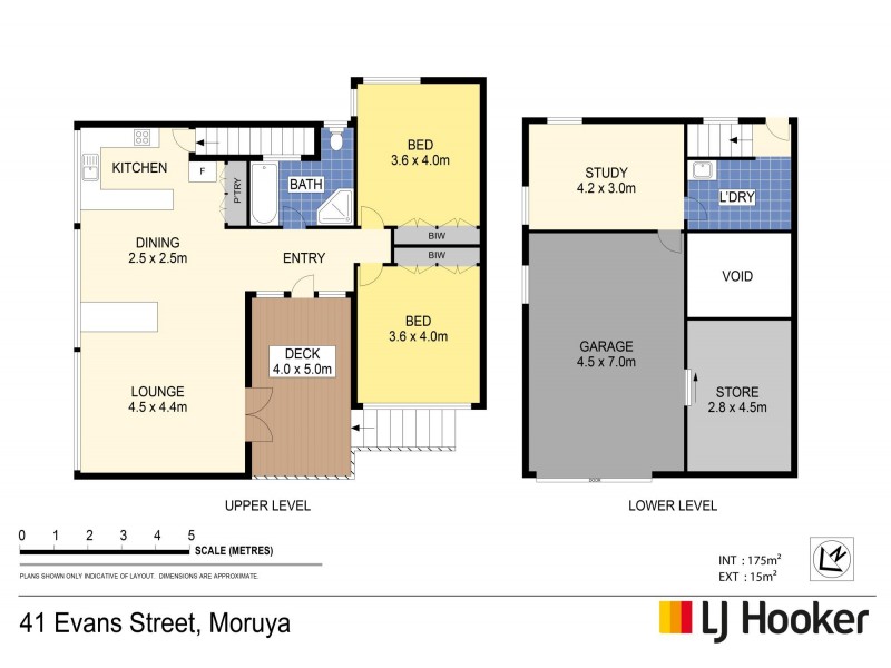41 Evans Street, Moruya NSW 2537 Floorplan