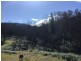734 Bryces Road, Belowra NSW 2545