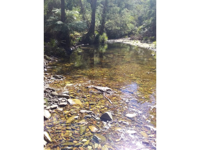 734 Bryces Road, Belowra NSW 2545