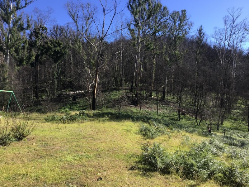 734 Bryces Road, Belowra NSW 2545