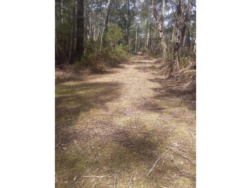 734 Bryces Road, Belowra NSW 2545