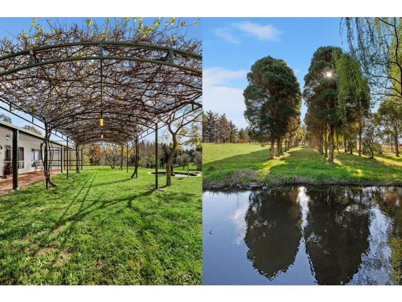 59 Pear Tree Place, Moruya NSW 2537