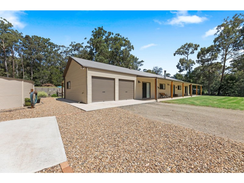 8 Brindabella Street, Bergalia NSW 2537