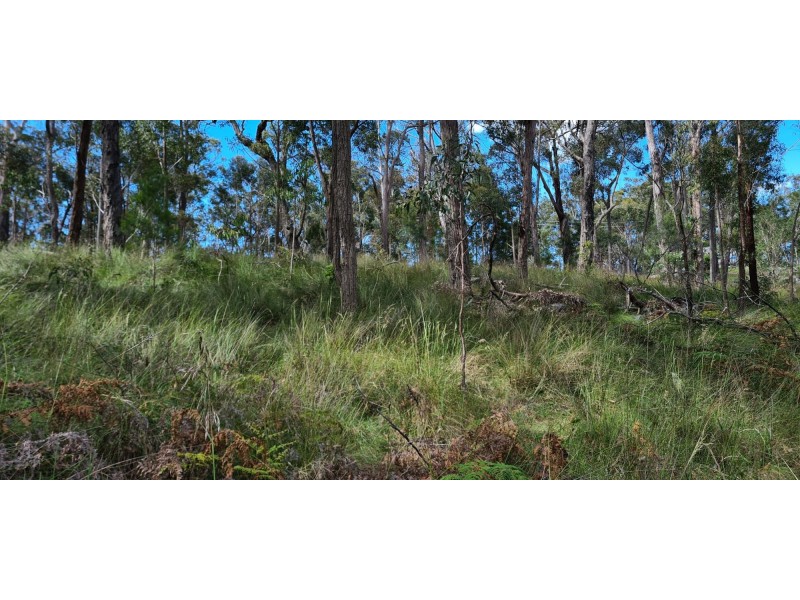 19 Collett Place, Meringo NSW 2537