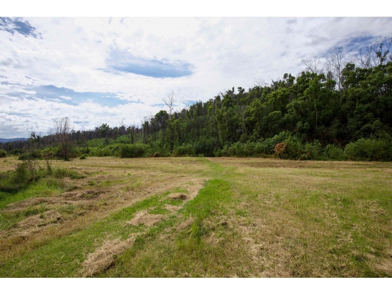 2 Gulph Street, Nerrigundah NSW 2545