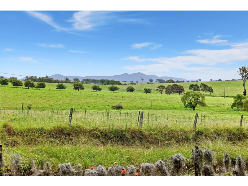 15 Bergalia Link Road, Bergalia NSW 2537