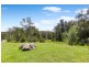 55 Arinya Place, Bingie NSW 2537