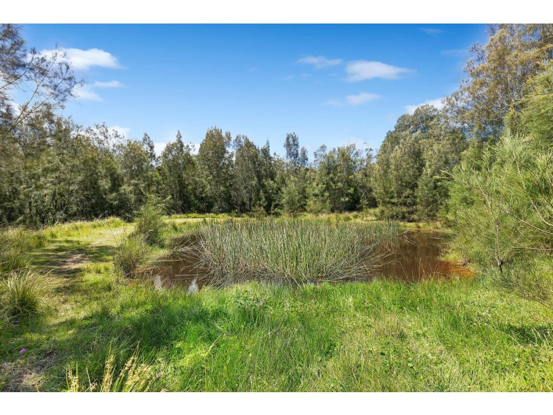55 Arinya Place, Bingie NSW 2537