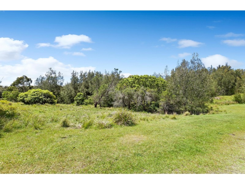 55 Arinya Place, Bingie NSW 2537