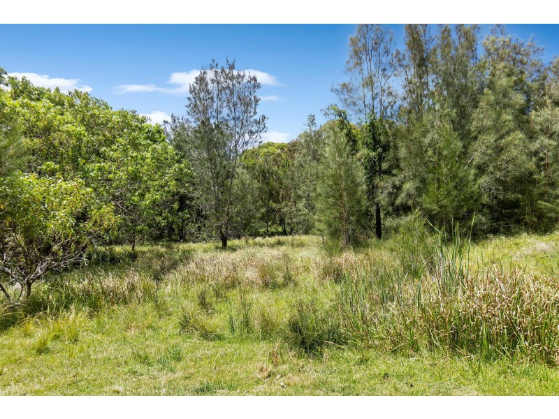 55 Arinya Place, Bingie NSW 2537