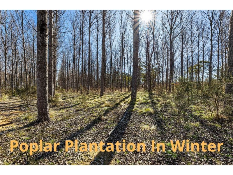 Lots 322/323//326/328/3 Sandholes Road, Braidwood NSW 2622