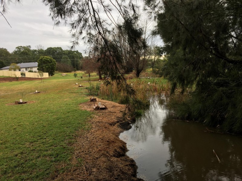 15 Patterson Close, Moruya NSW 2537