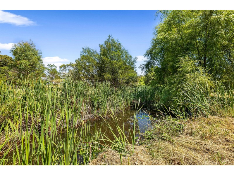 15 Patterson Close, Moruya NSW 2537