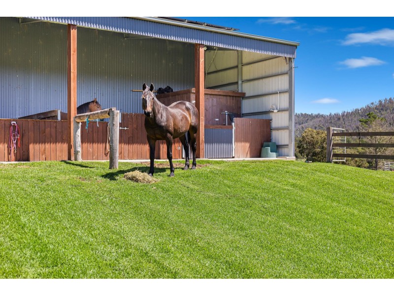 12-18 Waincourt Road, Eurobodalla NSW 2545