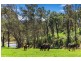 12-18 Waincourt Road, Eurobodalla NSW 2545