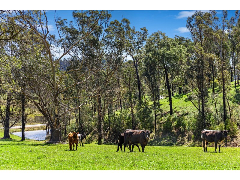 12-18 Waincourt Road, Eurobodalla NSW 2545
