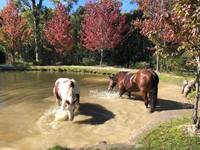 1 Janari Close, Moruya NSW 2537