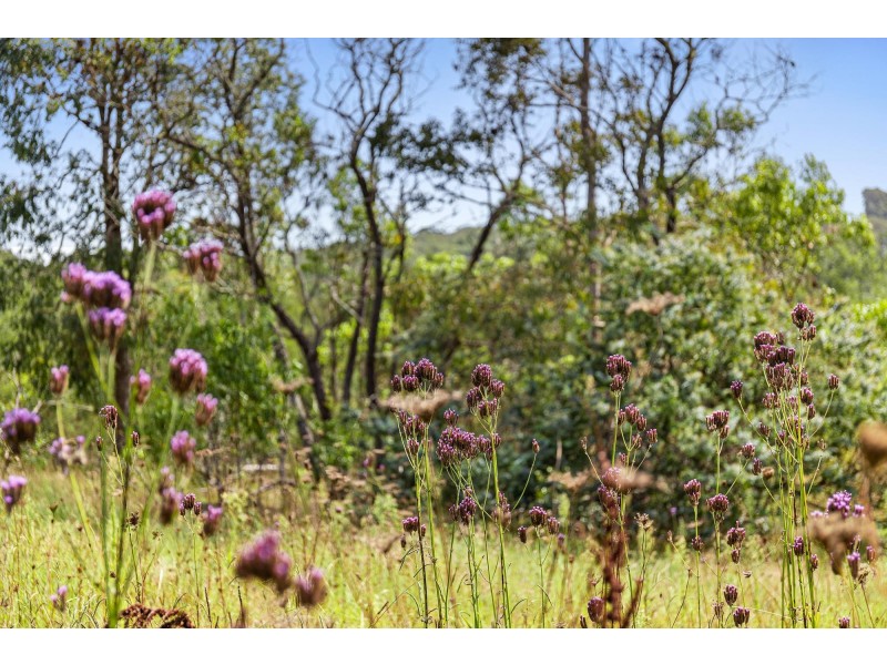 24 Glenduart Grove, Moruya NSW 2537