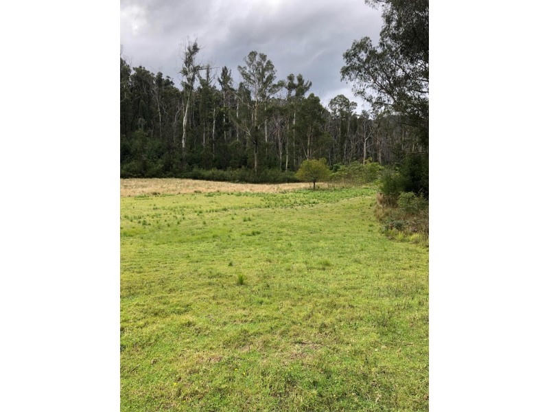 555 Bryces Road, Nerrigundah NSW 2545