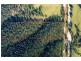 45/Part 51 Nerrigundah Mountain Road, Bodalla NSW 2545