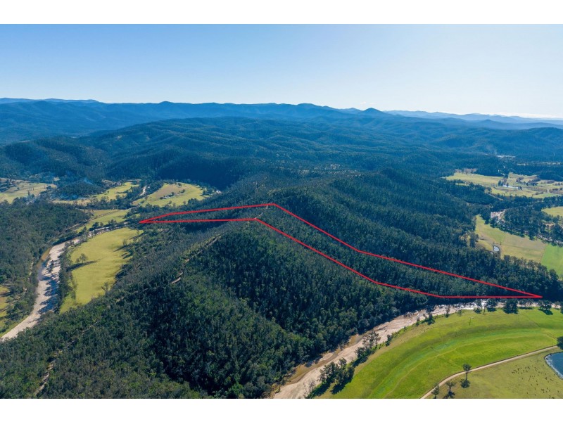 45/Part 51 Nerrigundah Mountain Road, Bodalla NSW 2545
