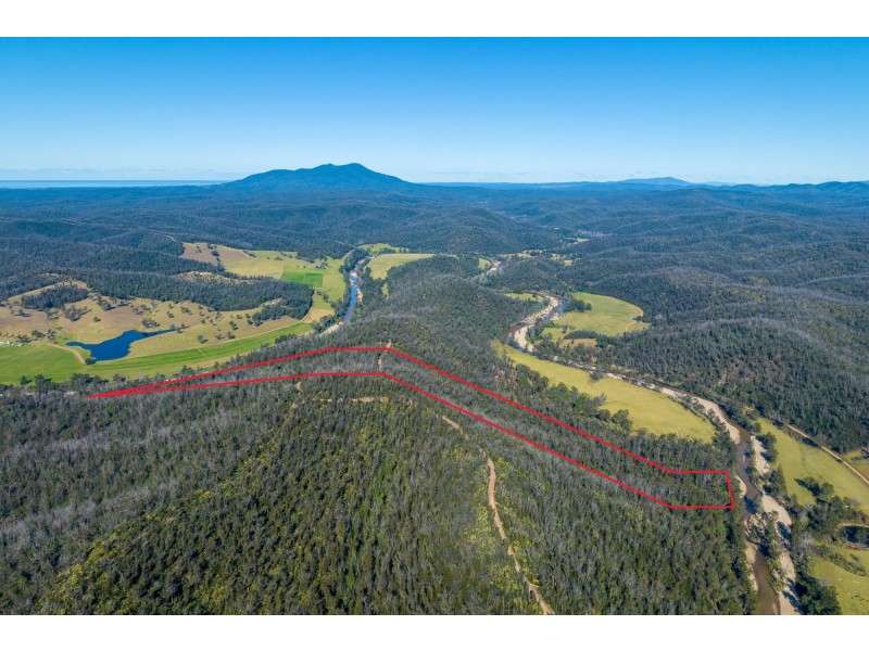 45/Part 51 Nerrigundah Mountain Road, Bodalla NSW 2545