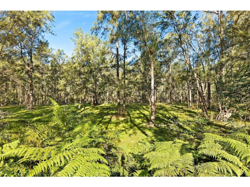 1713 Araluen Road, Deua River Valley NSW 2537