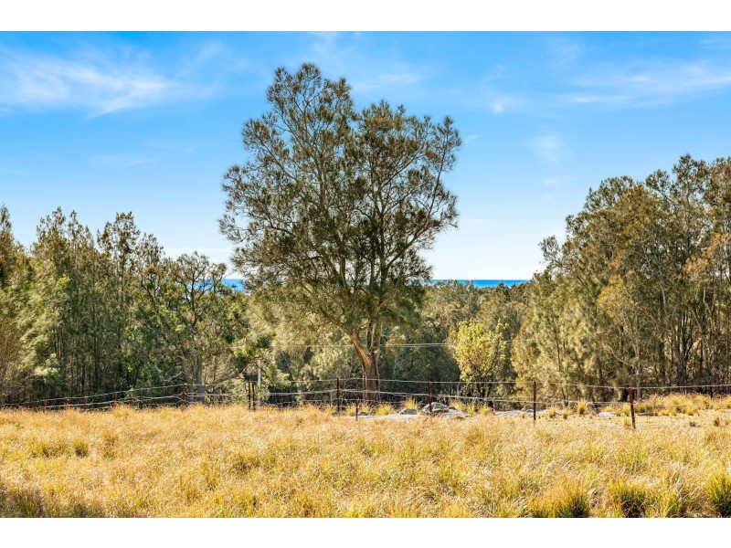 50 Arinya Place, Bingie NSW 2537