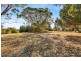 50 Arinya Place, Bingie NSW 2537