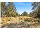 50 Arinya Place, Bingie NSW 2537